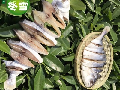 【金鲳鱼】大货批发直批健康食材一件代发诚招代理图3