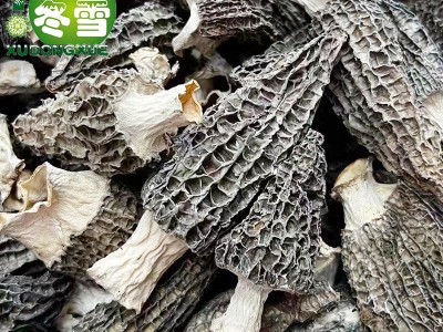 【福利款羊肚菌】大货直批食用菌食材一件代发淘宝货源诚招代理图2