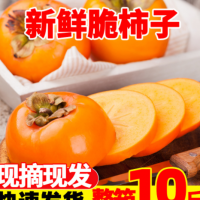 广西恭城脆柿子大果新鲜水果脆柿巧克力脆甜应季甜柿子9斤硬甜柿5