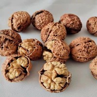 产地货源 云南纸皮核桃 新货薄皮核桃坚果零食老孕幼皆宜干果批发