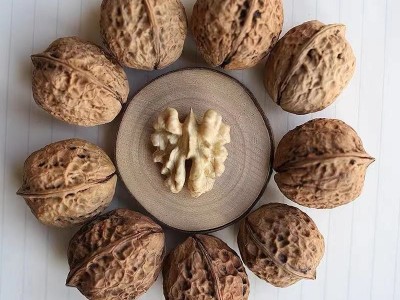 产地货源 云南纸皮核桃 新货薄皮核桃坚果零食老孕幼皆宜干果批发图4