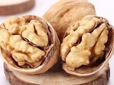 产地货源 新疆薄皮核桃 新货 纸皮核桃 坚果零食老少皆宜干果批发图4