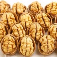产地货源 新疆薄皮核桃 新货 纸皮核桃 坚果零食老少皆宜干果批发