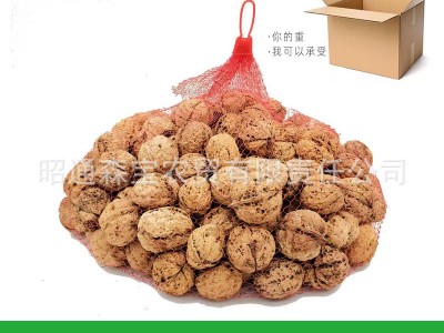 云南产地瘦型103山核桃果500克纸皮薄皮优质大果新货包邮厂家批发图4