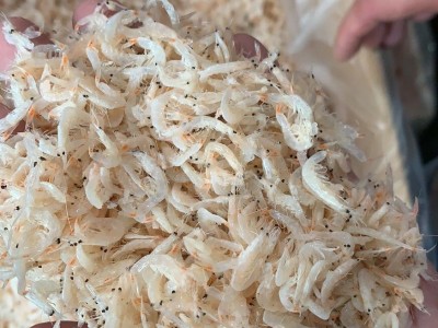 虾皮 虾米 淡干 熟虾皮 流水线图5