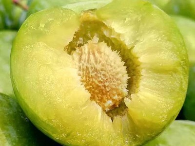 四川李子5斤现货脱骨脆红李茵红李青脆李土李空心李脆甜厂家直销图2