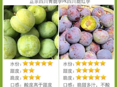 四川李子5斤现货脱骨脆红李茵红李青脆李土李空心李脆甜厂家直销图5