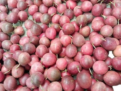 百香果大量批发云南5斤新鲜应当季果大果香现摘包邮一件代发代发图5
