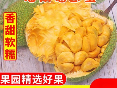 榴莲蜜海南新鲜尖拉非海南密热带新鲜水果包邮批发亚马逊独立站图3
