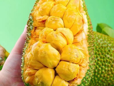 榴莲蜜海南新鲜尖拉非海南密热带新鲜水果包邮批发亚马逊独立站图5