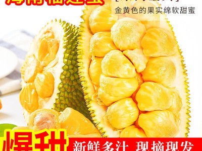 榴莲蜜海南新鲜尖拉非海南密热带新鲜水果包邮批发亚马逊独立站图2