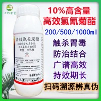 10%高效氯氰菊酯高效氯氢菊脂高效氯氢菊酯 菜青虫蚊蝇农药杀虫剂