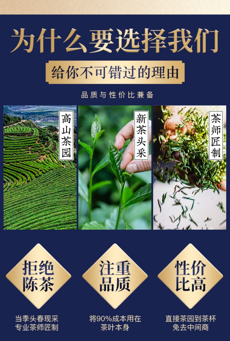 红茶11