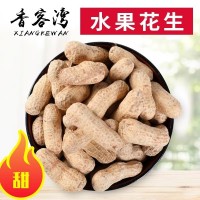 供应2021年带壳水果生花生手选货口感细腻味甜量大从优