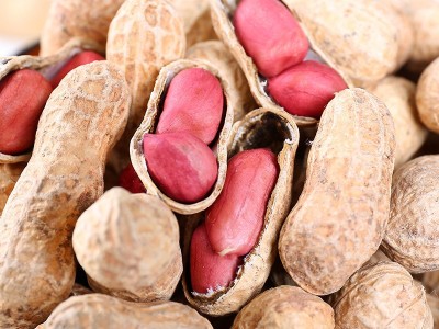 供应2021年带壳水果生花生手选货口感细腻味甜量大从优图4