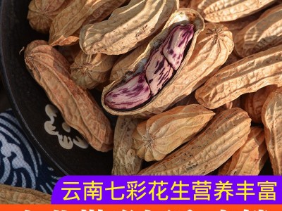 (生熟可选)云南水果甜脆七彩花生带壳非黑花生一手货源大货批发图4