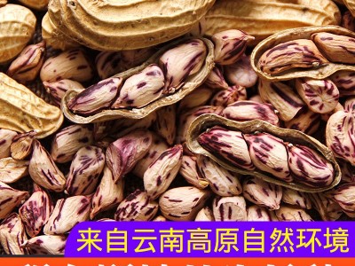 (生熟可选)云南水果甜脆七彩花生带壳非黑花生一手货源大货批发图3