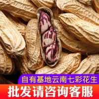 (生熟可选)云南水果甜脆七彩花生带壳非黑花生一手货源大货批发