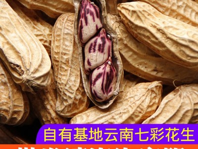 (生熟可选)云南水果甜脆七彩花生带壳非黑花生一手货源大货批发图2