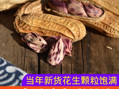(生熟可选)云南水果甜脆七彩花生带壳非黑花生一手货源大货批发图5