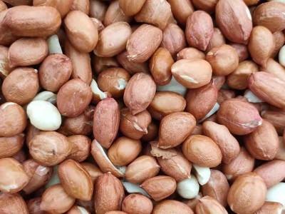 阿根廷高油酸花生大粒带皮原味花生米炒制熟花生米散装称重花生米图3