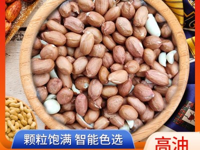 阿根廷高油酸花生大粒带皮原味花生米炒制熟花生米散装称重花生米图2