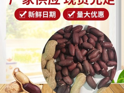 香甜带壳山东大花生黑花生米 供应黑珍珠紫皮花生米杂粮黑花生图2