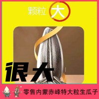 零售内蒙精品生葵花籽大号180-190原产地口感佳特大毛磕5斤包邮