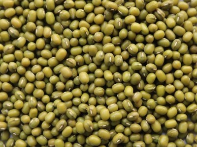 发芽用芽绿豆新品上市发芽率高产地直销出口级明绿豆芽豆图2