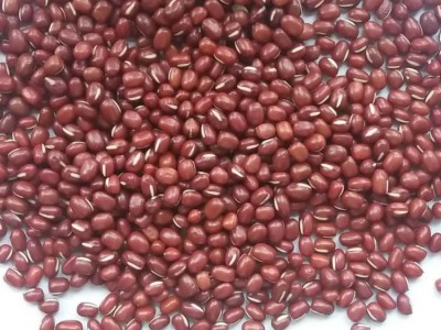 农安红红豆可商检可出口5.5mm大颗粒抛光出口级高标准红小豆图2