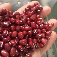 农安红红豆可商检可出口5.5mm大颗粒抛光出口级高标准红小豆