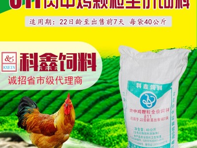 科鑫饲料/811肉中鸡颗粒饲料/鸡颗粒饲料/鸡饲料/厂家批发图5