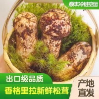 2022新货云南新鲜松茸美味煲汤食用菌500g 1000g 代发直发