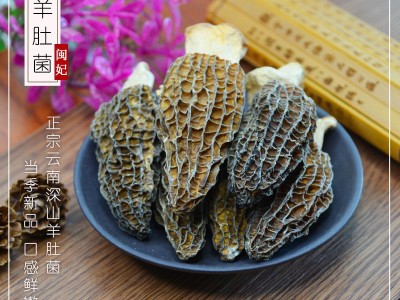闽妃羊肚菌干货20g 云南特产新鲜羊肚蘑非野生营养煲汤食材非500g图2