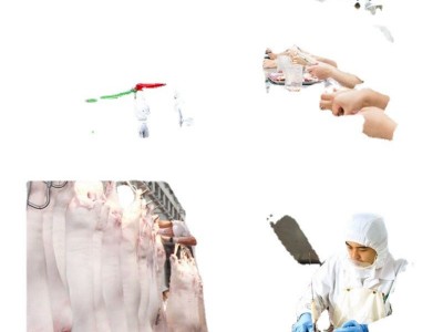 排骨新鲜免切多肉块散养猪粒肋排条大排前排块黑猪排整箱批发代发图4