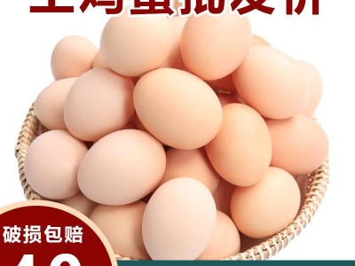 鸡蛋批发整箱【顺丰包邮】正宗土鸡蛋新鲜农家生态山林散养草鸡蛋图3