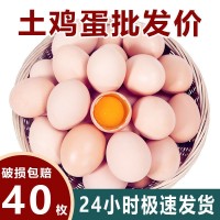 鸡蛋批发整箱【顺丰包邮】正宗土鸡蛋新鲜农家生态山林散养草鸡蛋