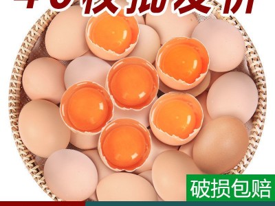 鸡蛋批发整箱【顺丰包邮】正宗土鸡蛋新鲜农家生态山林散养草鸡蛋图2