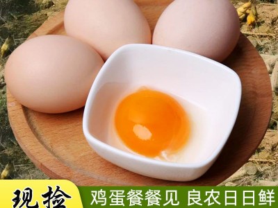 土鸡蛋大量批发散养农家20枚健康草鸡蛋宝宝蛋月子新鲜五谷柴鸡蛋图2