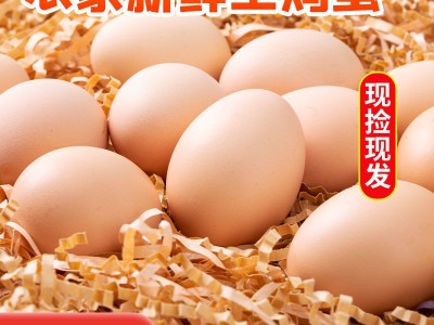 土鸡蛋大量批发散养农家20枚健康草鸡蛋宝宝蛋月子新鲜五谷柴鸡蛋图5