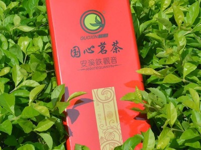 茶叶安溪铁观音高山茶清香型浓香型乌龙茶兰花香新茶批发图2
