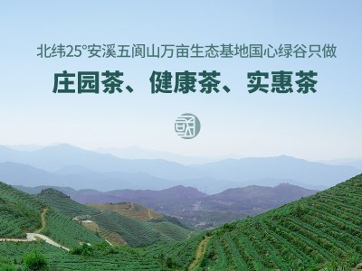 红茶新春茶正山小种武夷山金骏眉奶茶原料散装红茶批发图4