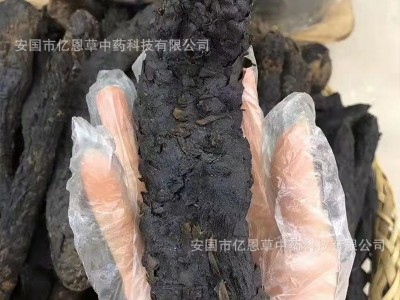产地货源 肉苁蓉药材批发 阿拉善肉苁蓉整根 中药材销售 品种齐全图3