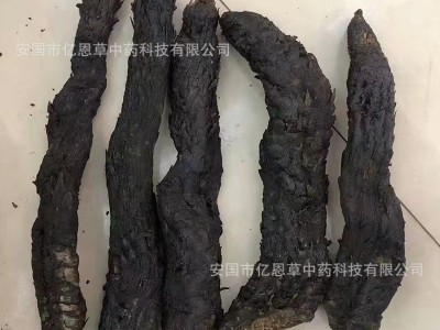 产地货源 肉苁蓉药材批发 阿拉善肉苁蓉整根 中药材销售 品种齐全图4