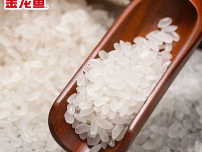 金龙鱼清香稻长粒香米500g一袋装 批发福利团购图5