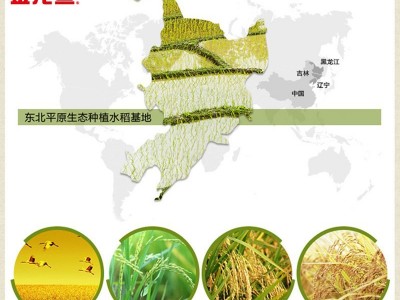 金龙鱼清香稻长粒香米500g一袋装 批发福利团购图4