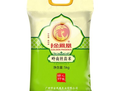 当季现磨新米 岭南丝苗米5KG香米大米批发一件代发 10斤真空包装图5