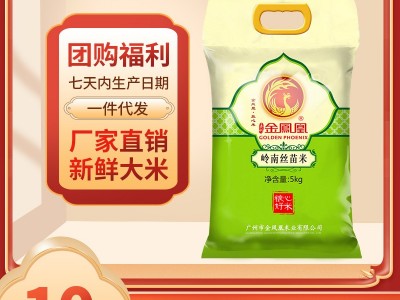 新米番禺丝苗米 煲仔饭大米5KG 籼米10斤大米新鲜大米 细长香米图5