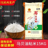 当季新米 韶关新鲜马贝油粘米15KG大米 食堂家庭装厂家直批30斤米