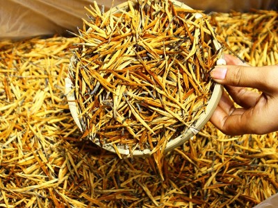 云南凤庆滇红茶大金针直条2022年春茶景谷大金芽红茶芽头蜜香批发图3